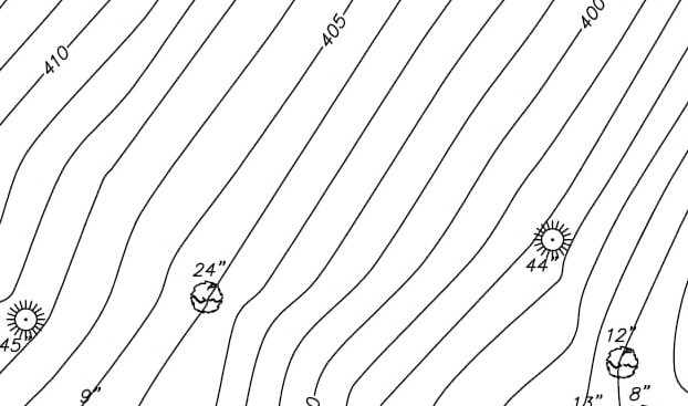 Topographic Survey